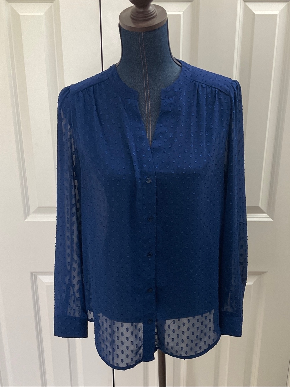 Banana Republic Sheer Button-Up Blouse